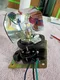 carousel chooser